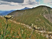 51 Scendendo da Cima Foppazzi su ripido sentierino con vista sul sentiero di  salita a Cima Grem 